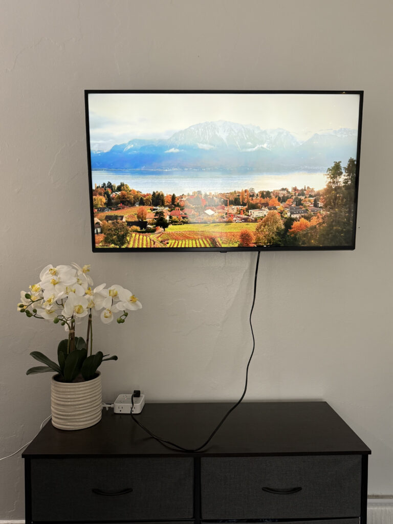 TV mounting utah Salt Lake City professional service